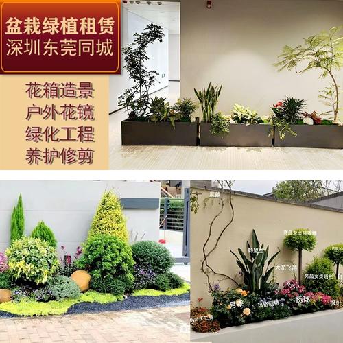 綠意盎然的鵬城與莞城 專(zhuān)業(yè)戶(hù)外綠化工程與植物租賃服務(wù)全解析